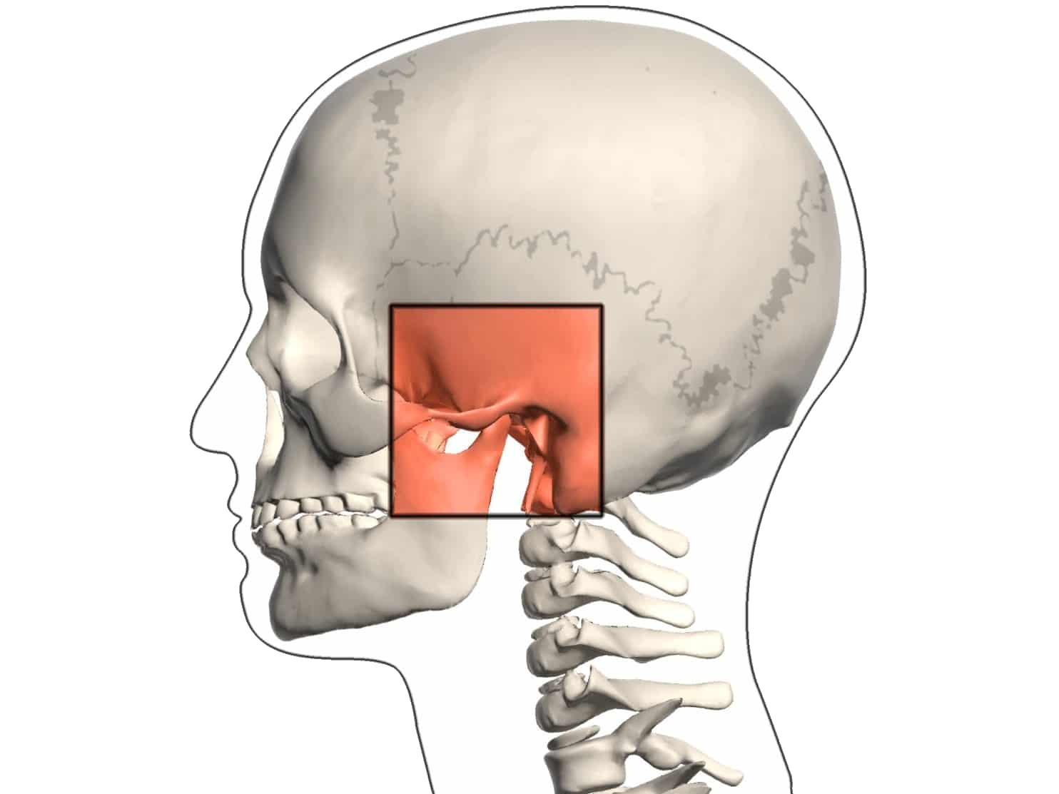 Tmj Disorder In Worcestershire West Midlands Roy Morris Dental